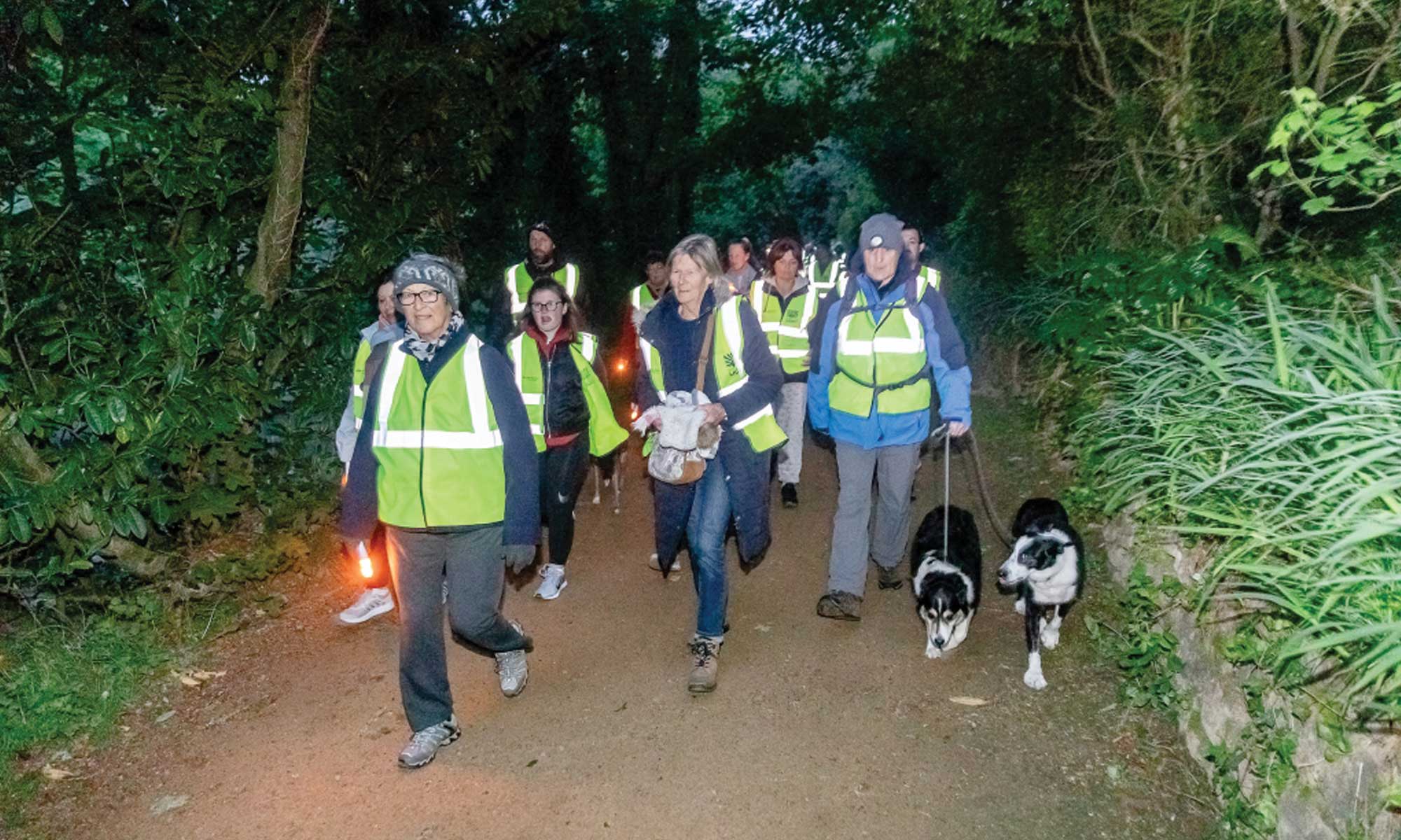 Sanctuary Trust Jersey Walk into Light 2019